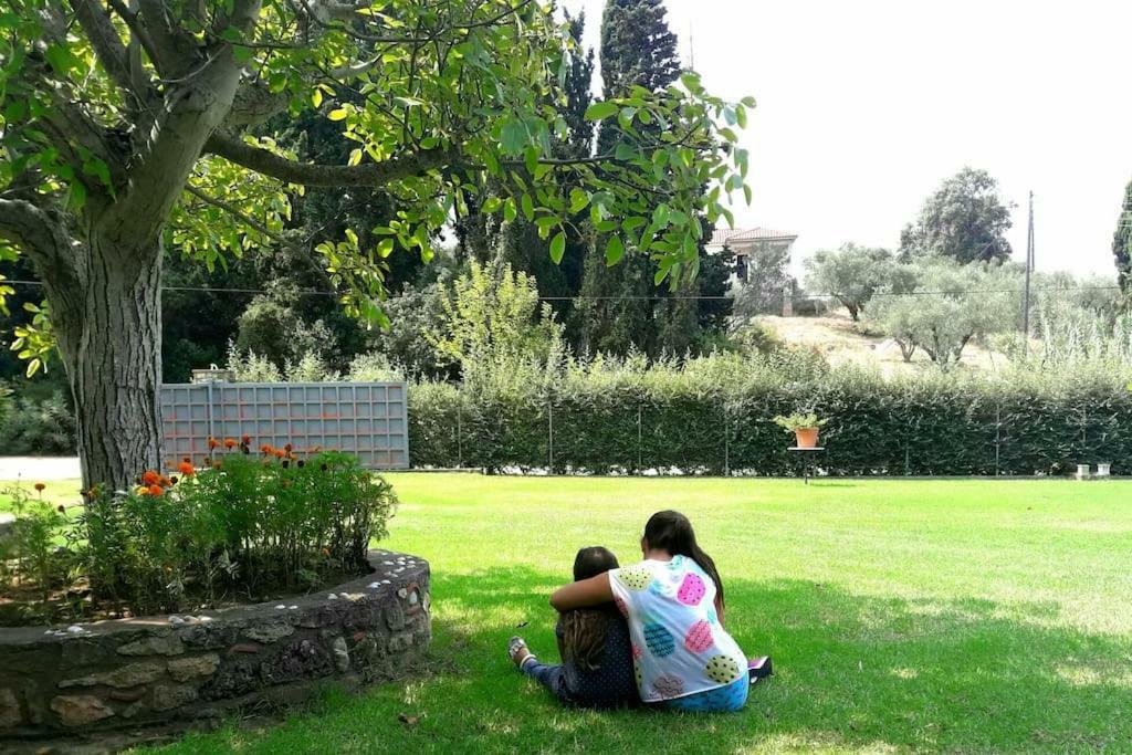 A House Between Ancient Olympia And The Ionian Sea Levendokhorion Ngoại thất bức ảnh